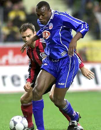 引入的新外 引入的新外