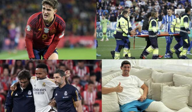 这种稳健的 这种稳健的