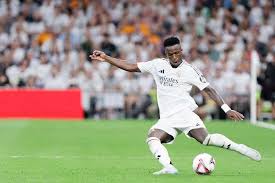 球迷的高度 球迷的高度