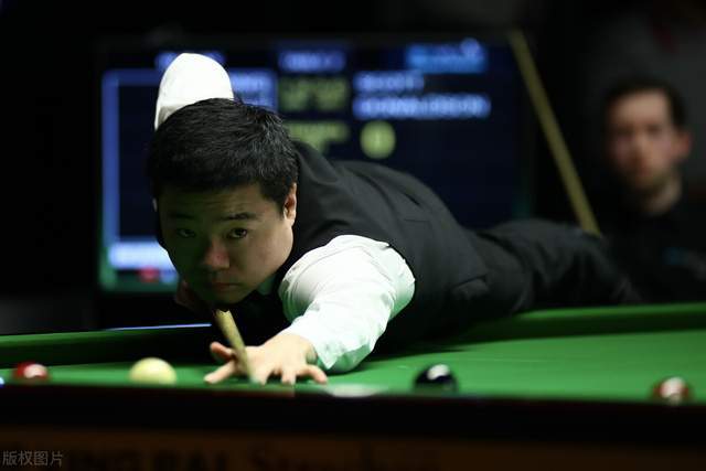 迎來新生機 迎來新生機