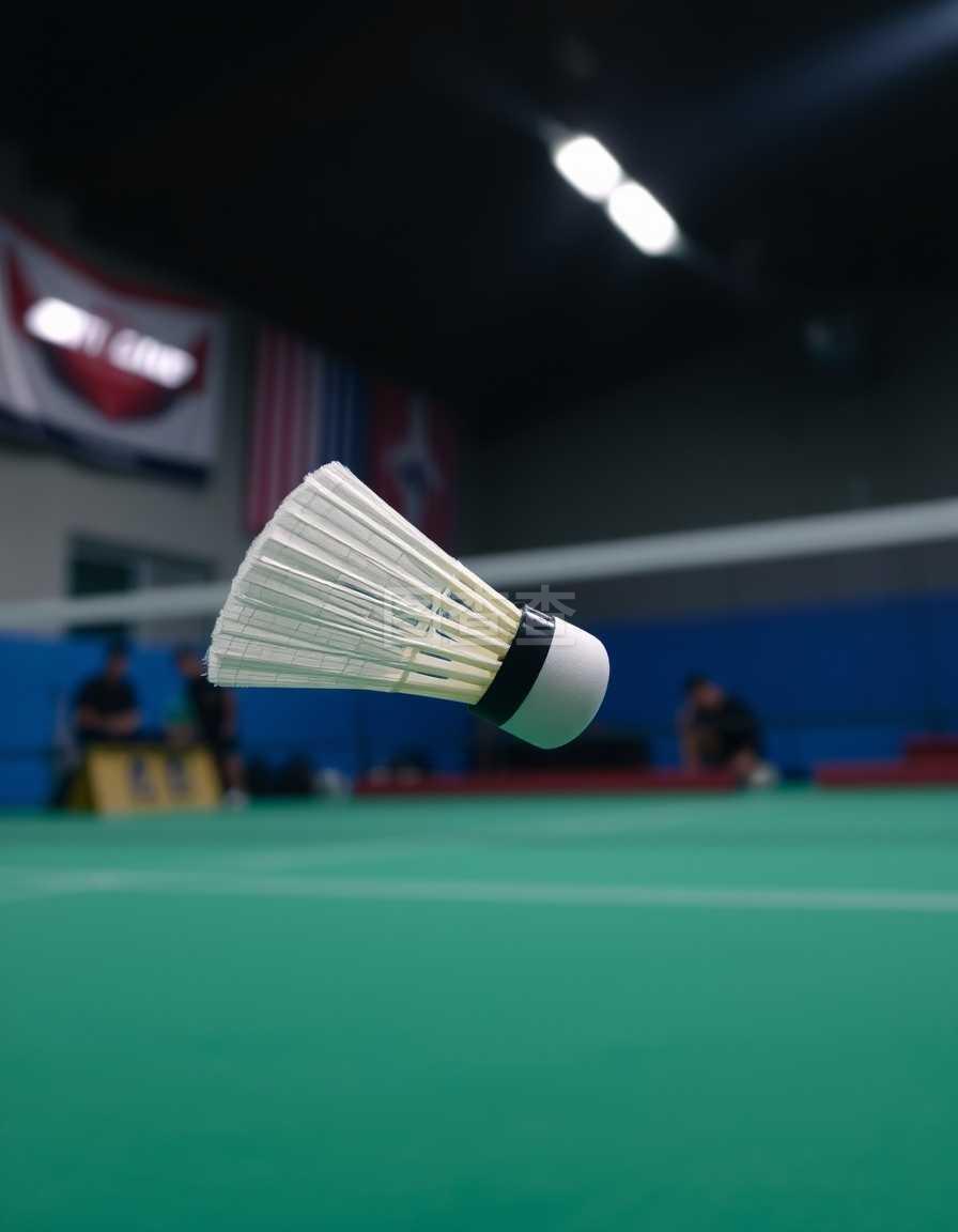 来贡献的期 来贡献的期